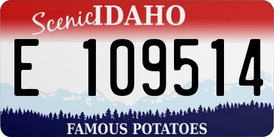 ID license plate E109514