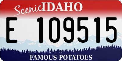 ID license plate E109515