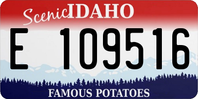 ID license plate E109516