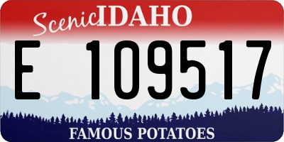 ID license plate E109517