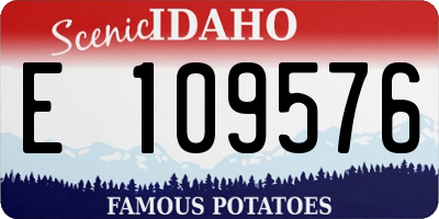 ID license plate E109576