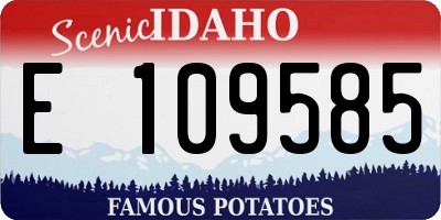 ID license plate E109585