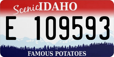 ID license plate E109593
