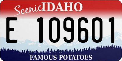 ID license plate E109601