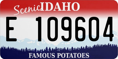 ID license plate E109604