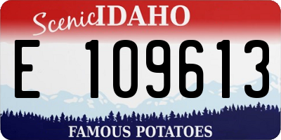 ID license plate E109613