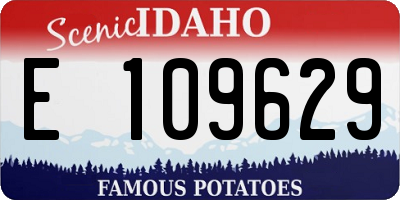 ID license plate E109629
