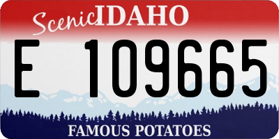 ID license plate E109665