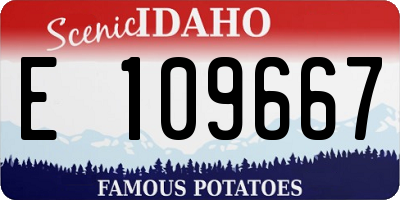 ID license plate E109667