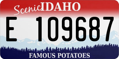 ID license plate E109687