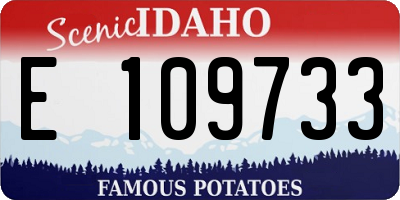 ID license plate E109733