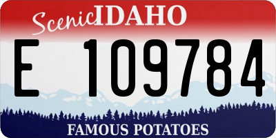 ID license plate E109784