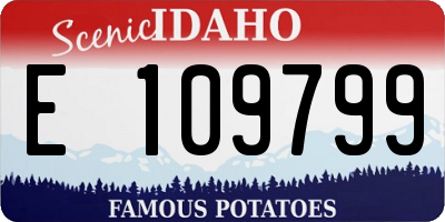 ID license plate E109799