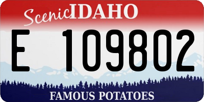 ID license plate E109802