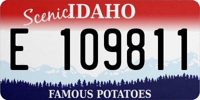 ID license plate E109811