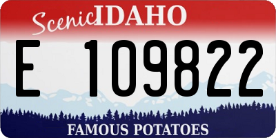 ID license plate E109822