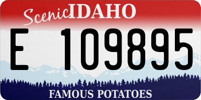 ID license plate E109895