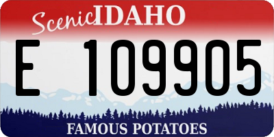 ID license plate E109905