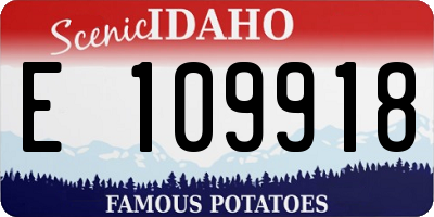 ID license plate E109918