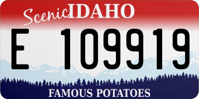 ID license plate E109919