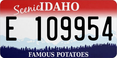 ID license plate E109954