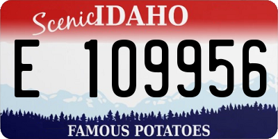 ID license plate E109956