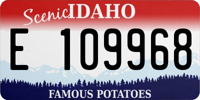 ID license plate E109968