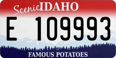 ID license plate E109993