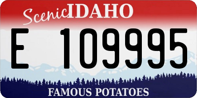ID license plate E109995