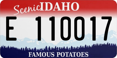 ID license plate E110017