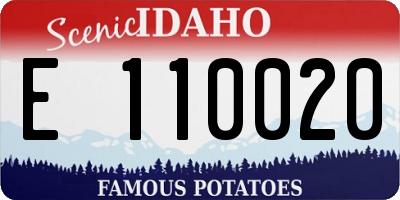 ID license plate E110020
