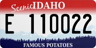 ID license plate E110022