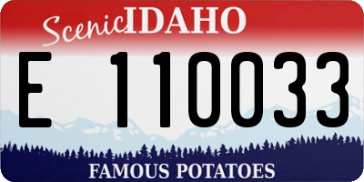 ID license plate E110033