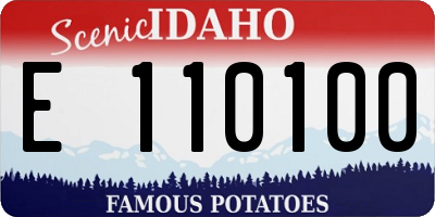 ID license plate E110100