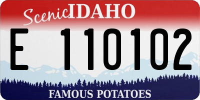 ID license plate E110102