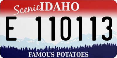 ID license plate E110113