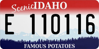 ID license plate E110116