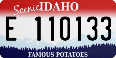 ID license plate E110133