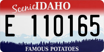 ID license plate E110165