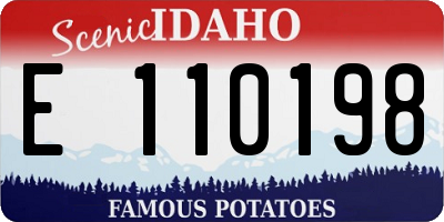 ID license plate E110198