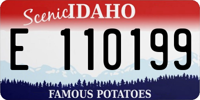 ID license plate E110199
