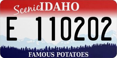 ID license plate E110202