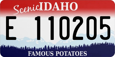 ID license plate E110205