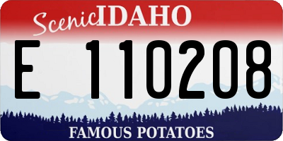 ID license plate E110208