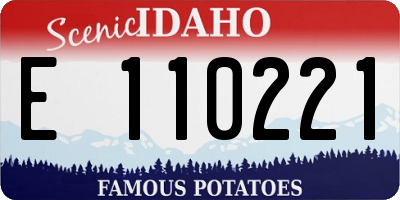 ID license plate E110221