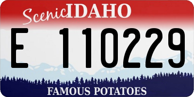 ID license plate E110229