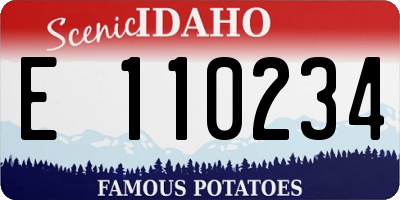 ID license plate E110234