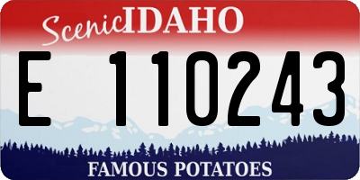 ID license plate E110243