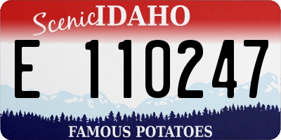 ID license plate E110247