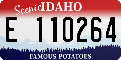 ID license plate E110264